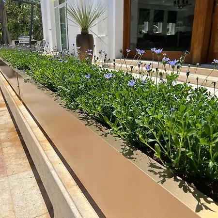 Aurelia Mellieħa